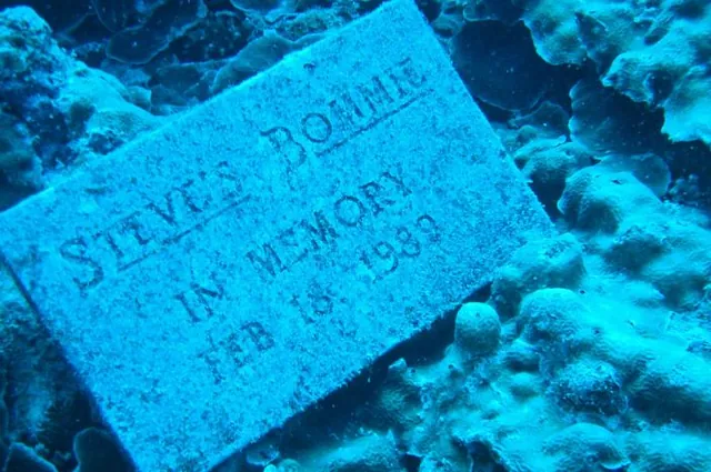 The memorial plaque dedicated to Steve at this Bommie site