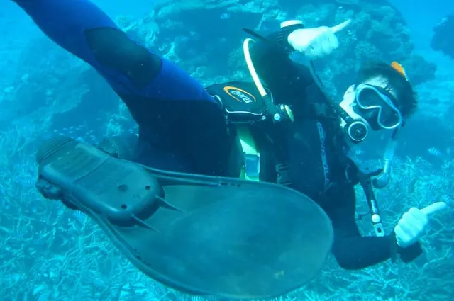 Loving the diving conditions in GBR