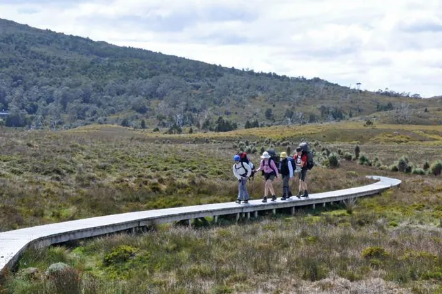 There are various types of boardwalks along the track ranging from new like this to completely worn away