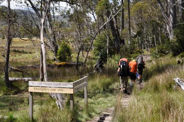 We're getting close! The turnoff for the Old Pelion Hut is passed