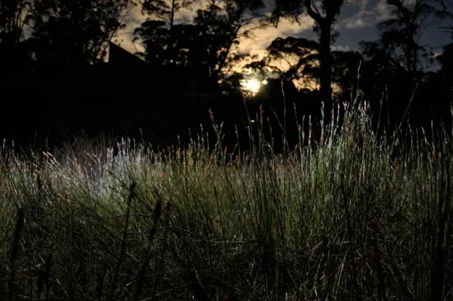 A full moon rising behind the hut with a weird head lamp effect caught on the grass with the slow camera shutter speed