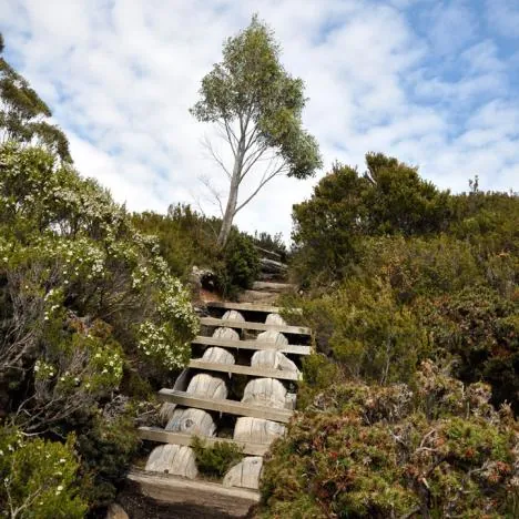 The first part of the track ascends gradually