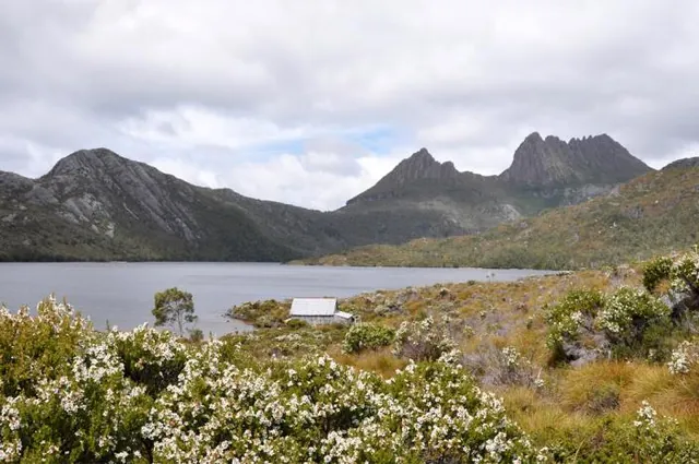 We arrive at the postcard view of Dove Lake and Cradle Mountain