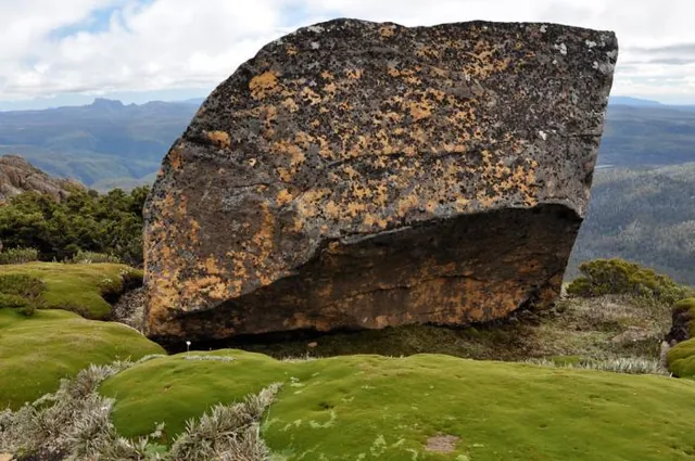 A hefty boulder surrounded by pin cushion plants