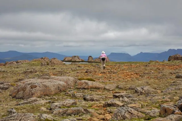 The Mount Ossa plateau before the top