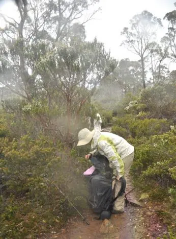 The weather can be extremely changeable in Tasmania as this afternoon proved - sunny one minute, raining the next