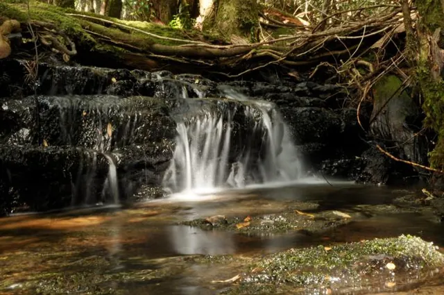 A few mini-waterfalls along the way to whet our appetite for the big ones to come