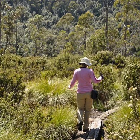 It would be a nice place to take your lunch in a daypack