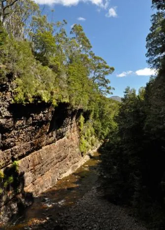 The view of the canyon below is grand