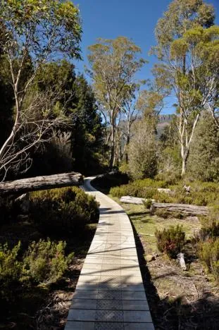 Overland Track — photograph 193