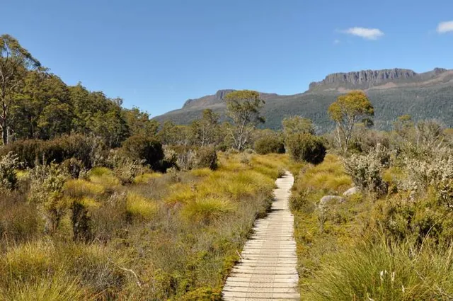 Overland Track — photograph 194