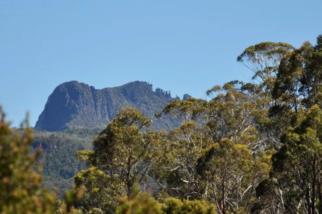 Overland Track — photograph 195