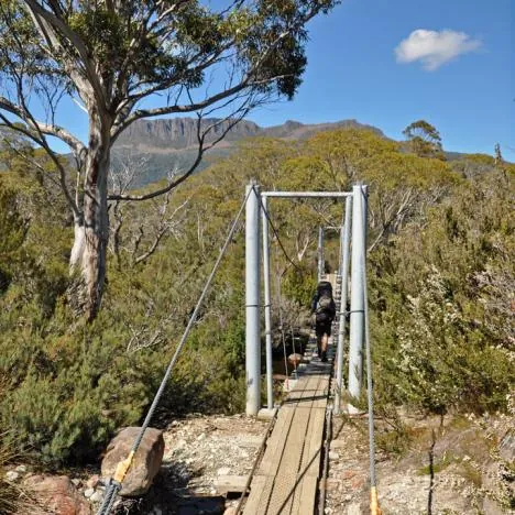 Overland Track — photograph 196