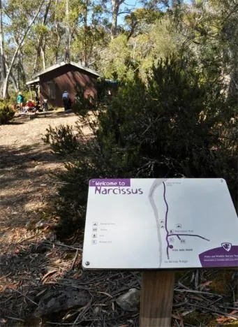 Overland Track — photograph 198
