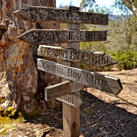 Overland Track — photograph 200