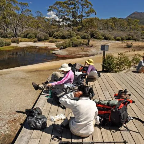 Overland Track — photograph 202