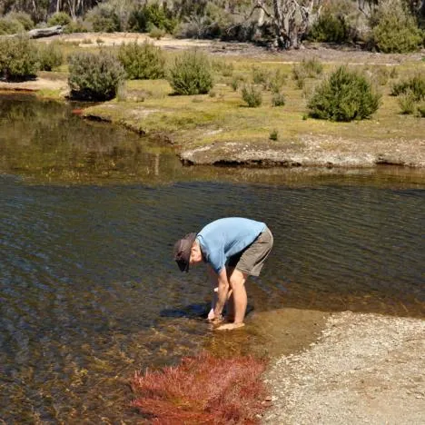 Overland Track — photograph 203