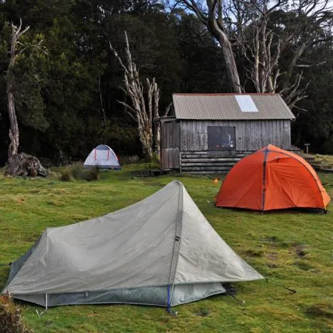 Overland Track — photograph 44
