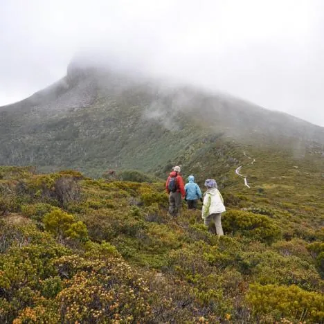 Overland Track — photograph 48