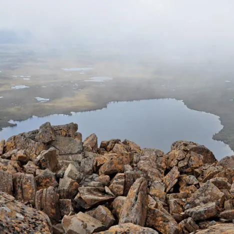 Overland Track — photograph 51