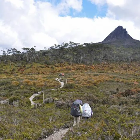 Overland Track — photograph 57