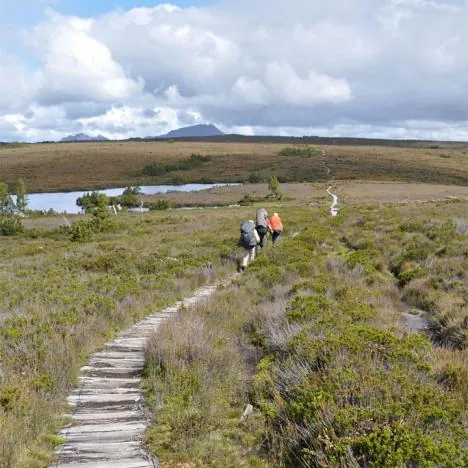 Overland Track — photograph 60