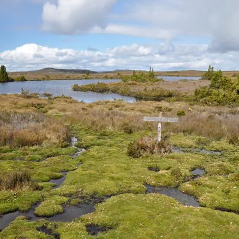 Overland Track — photograph 61