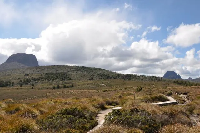 Overland Track — photograph 62