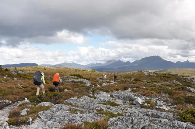 Overland Track — photograph 63