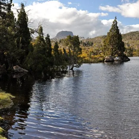 Overland Track — photograph 66