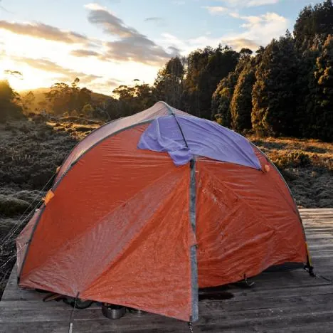 We awake after a cold night to find the tent iced over