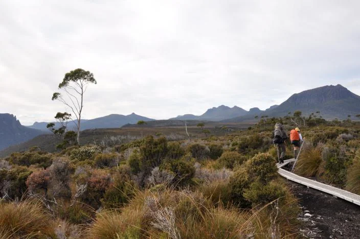 Overland Track