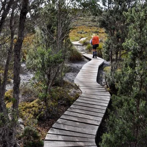 Some intricate path making along the way