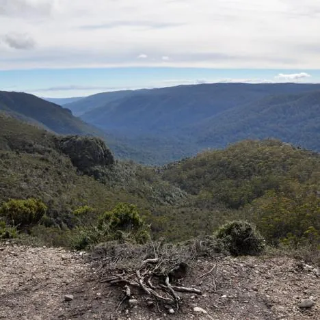 Nice view of the valley - the picture doesn't really do it justice - the forest has a Blue Mountains-esque haze