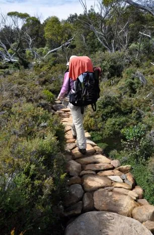 After miles and miles of boards, you stumble upon all different types of path styles