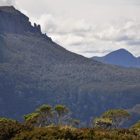 Getting closer and closer to New Pelion Hut - you can see it from the trail about half way (a cruel tease)