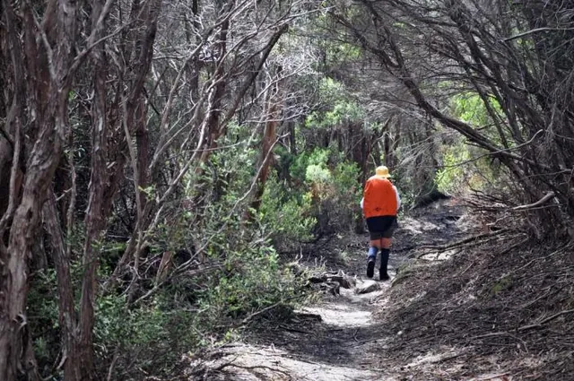 A perfect day for a stroll in the woods