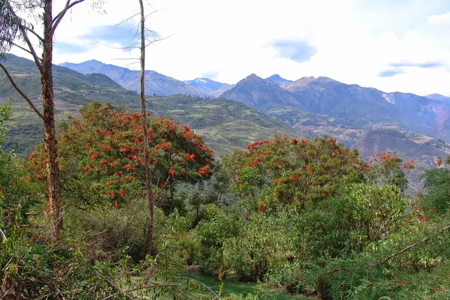 The trail is very green and colourful down at this altitude (about 10,000 feet)