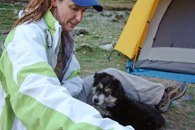 This puppy came to camp to see what was going on (presumably waiting for kitchen scraps)