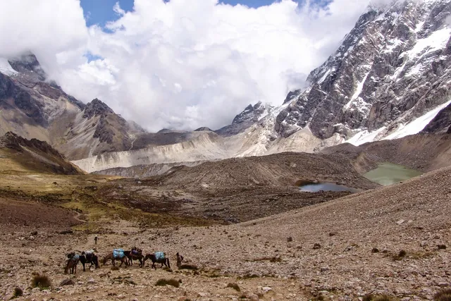 The horses down below pass the turquoise glacial lake
