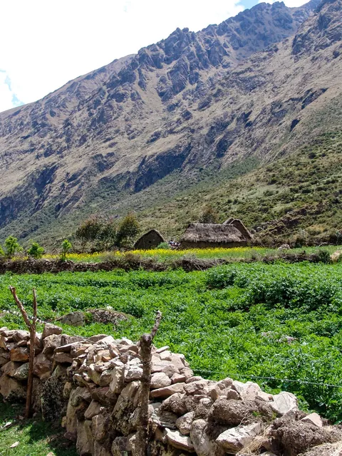 These are the type of farms where the kids will have come from