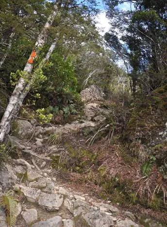 A fairly steep climb right from the start
