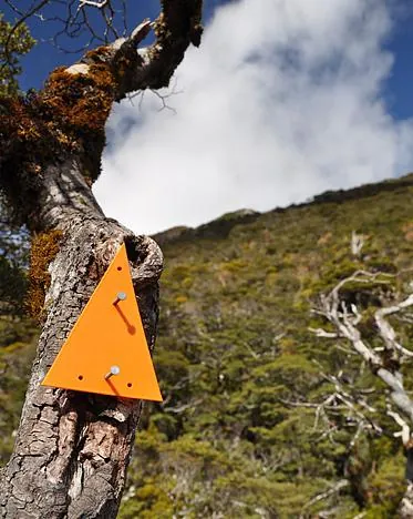 The track is well marked and the orange markers keep you right