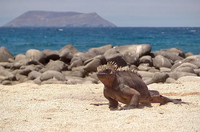 Galapagos Islands — photograph 16