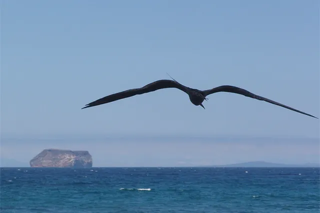 Galapagos Islands — photograph 17