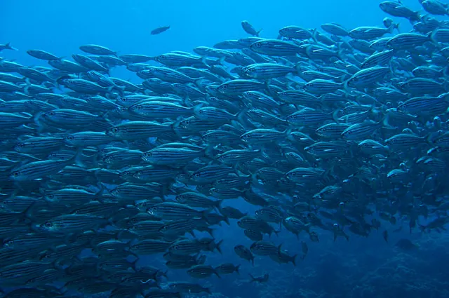 Galapagos Islands — photograph 41