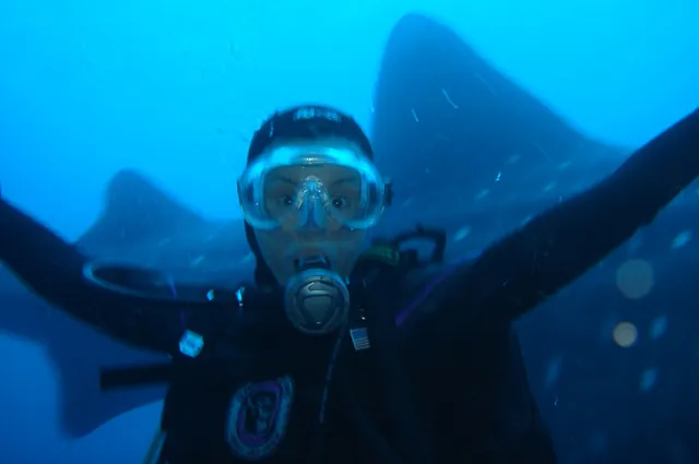 Gill with a whale shark backdrop ... a Facebook profile picture if ever there was one!