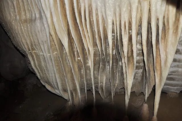 Charleston Cave Rafting — photograph 6