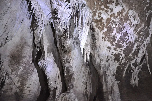 Charleston Cave Rafting — photograph 10