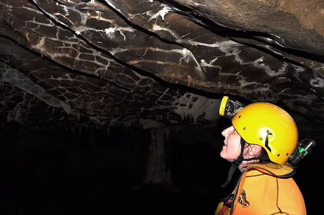 The 'Giraffe Ceiling Effect'